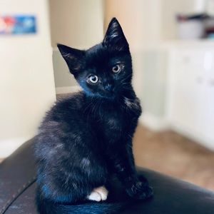 Meet your Posher, Mary